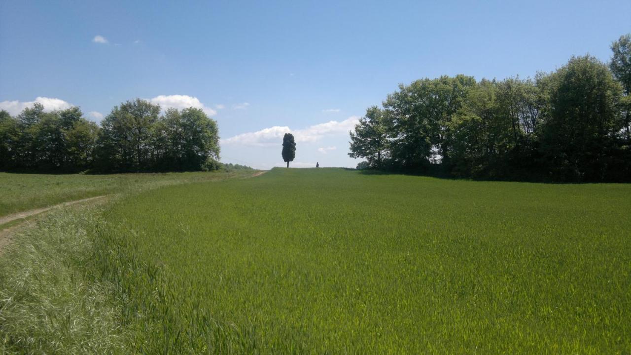 Appartamento Miralago Bolsena Buitenkant foto