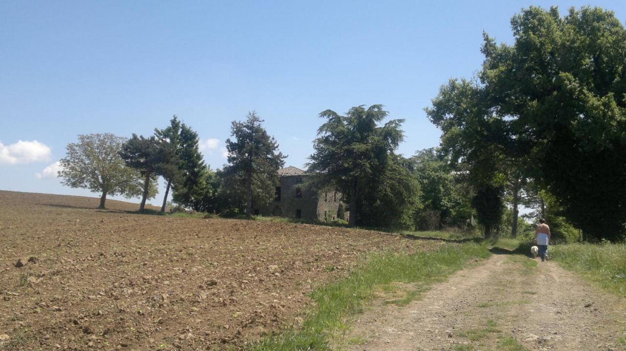 Appartamento Miralago Bolsena Buitenkant foto